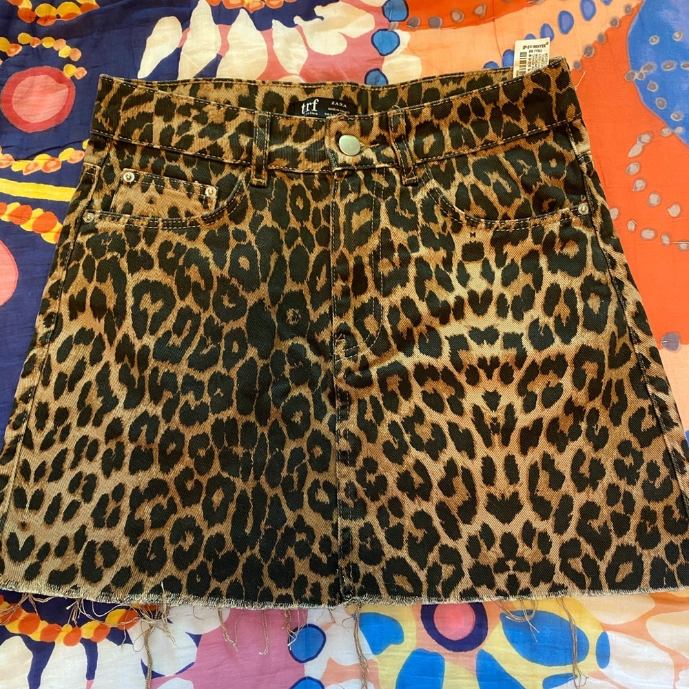 zara skirt